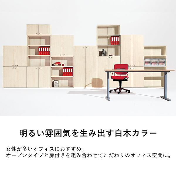 Garage（ガラージ） Garage fantoni 収納庫(本棚) 扉 上用 GX-120TU 濃