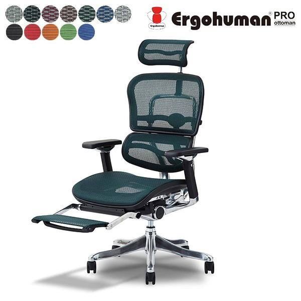 組立て・法人後払いも [座面セレクトタイプ] エルゴヒューマン プロ オットマン内蔵型 EHP-LPL EHP-CPL（モールドタイプ） 腰痛対策 事務椅子