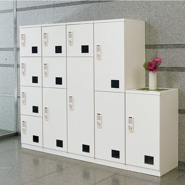 PLUS（プラス） (TX-100NW)解錠キーで一戸建てにも 液晶タイプ 宅配