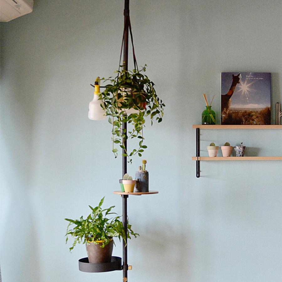 駿*か様 Draw a line モリモリツリー DRAW A LINE ドローアライン モリモリツリー 突っ張りセット ブラック