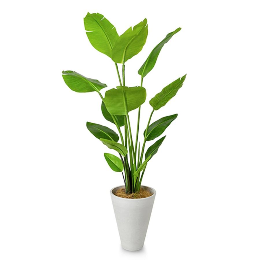 ストレチア 高さ160cm (フェイクグリーン 観葉植物 大型 インテリア オフィス）