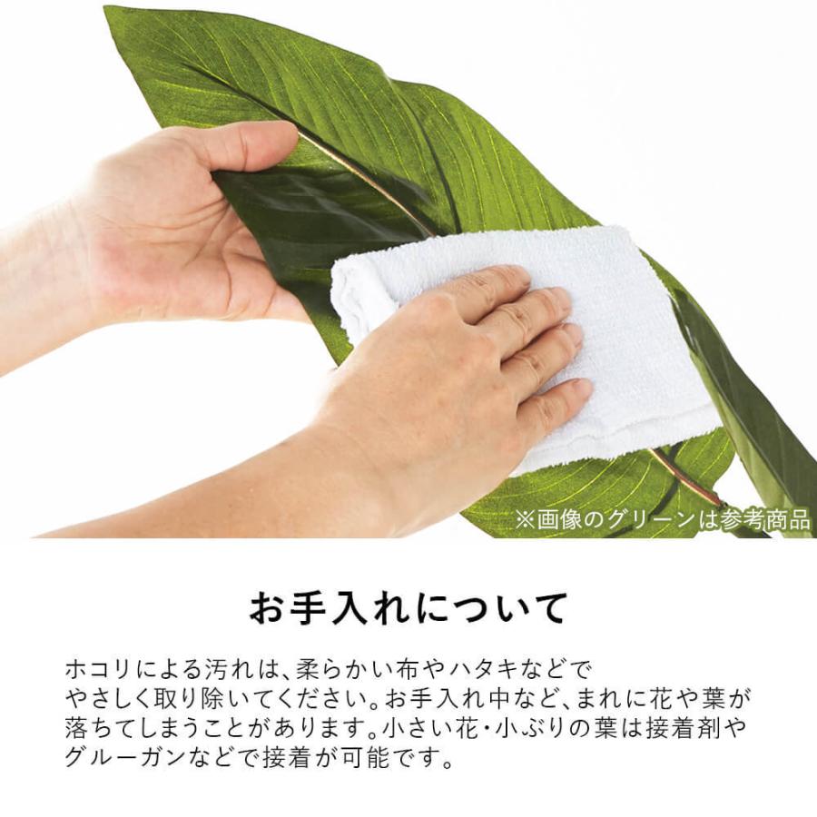 フェイクグリーン 卓上 観葉植物 アジアンタム ベリー ウォータートラペゾイド インテリアグリーン オフィスグリーン_5
