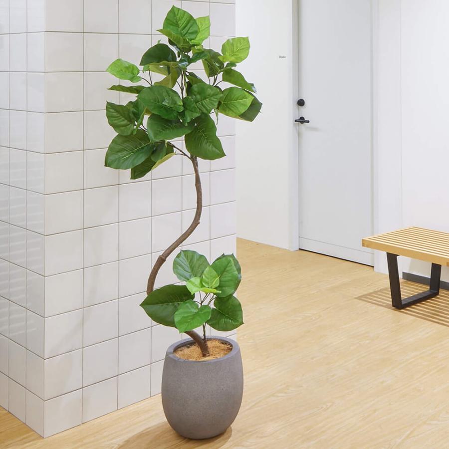 フェイクグリーン 観葉植物 ウンベラータ 高さ154cm フロア