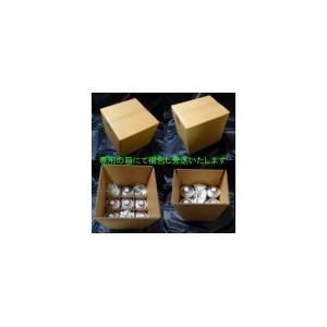 A．S．H．（アッシュ） VFS 5W−30 C−3 ashオイル