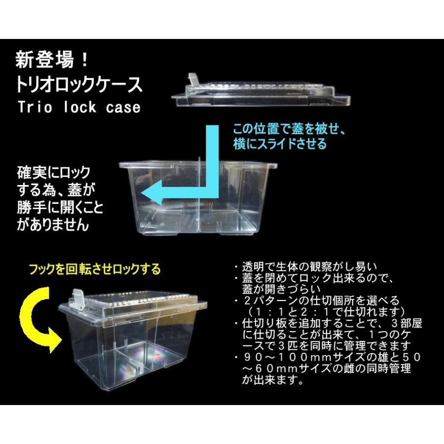トリオロックケース（仕切板2枚付属） 飼育ケース : Garage疾風