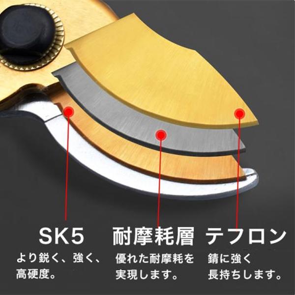 剪定ばさみ SK5鋼 人間工学設計 省力バネ 軽量 防錆 チタンコート ガーデニング 園芸用 T802 |  | 01