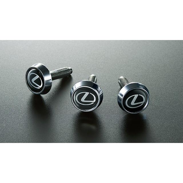 レクサス（LEXUS） 純正 アクセサリー パーツ ES300h メッキナンバー