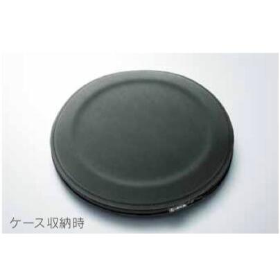 Lexus IS用フロントサンシェード 08202-24140 レクサス（LEXUS） 純正 アクセサリー パーツ IS350 IS300 IS300h