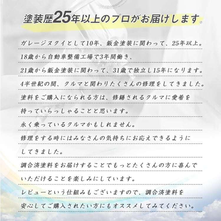 トヨタ202 車用塗料 希釈済 カラーナンバー カラーコード 202 最安値挑戦中|garagenukui|09