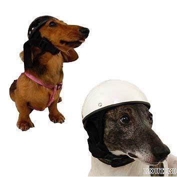 アニマルヘルメット スモール 小型犬 猫向き 犬用ヘルメット Gr Dogmet 001 Garage R30 通販 Yahoo ショッピング