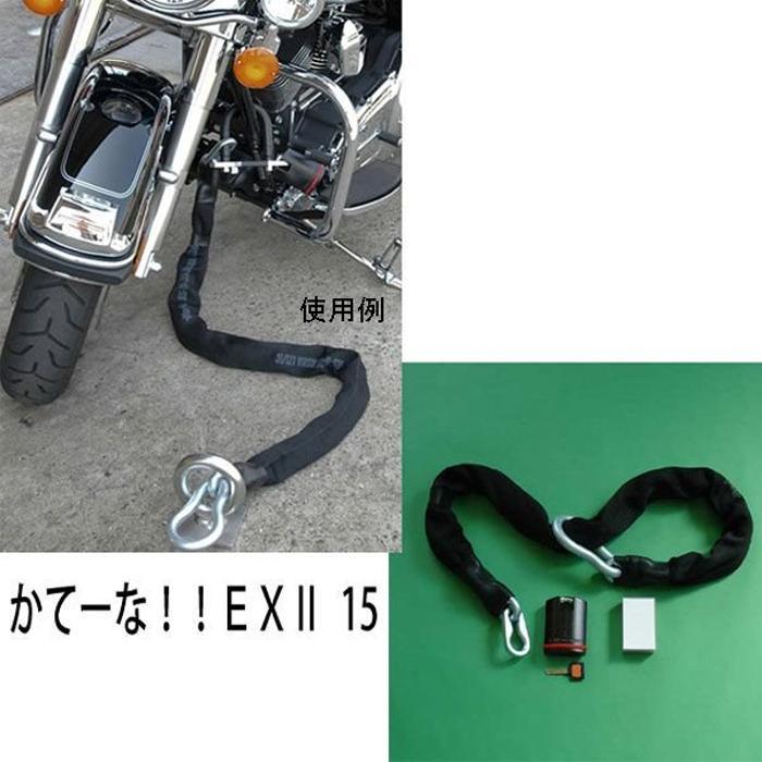 かてーな EX15 Uチャンプ付 013.jpg
