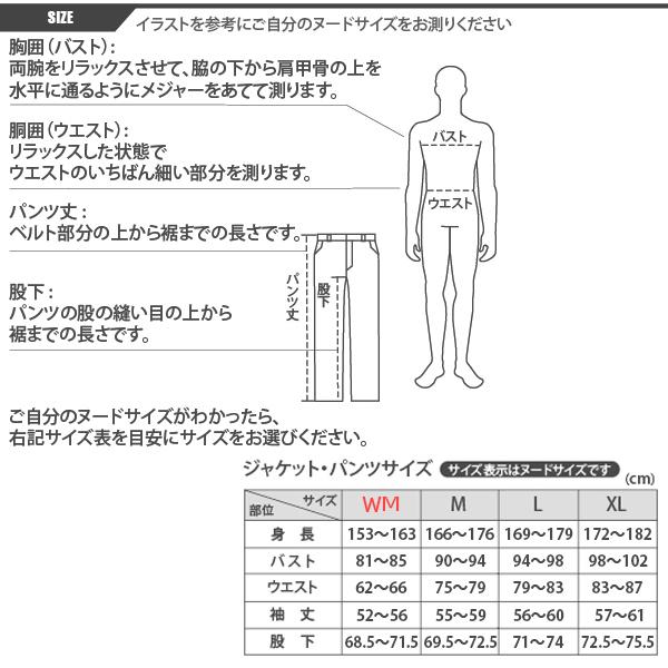 POWERAGE パワーエイジ PA-490 PORON 胸・脊椎サポーター インナー