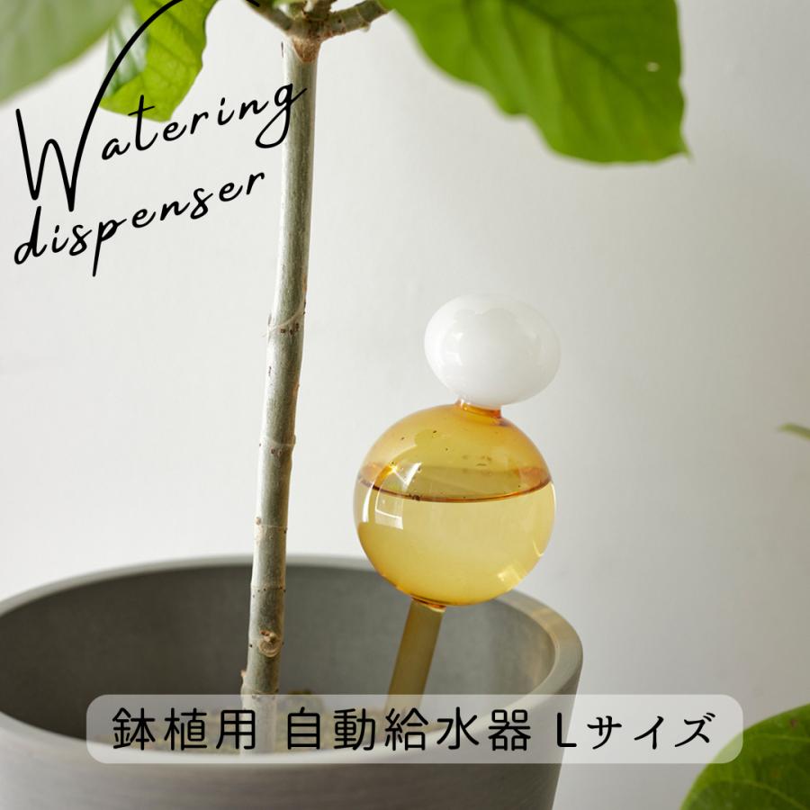 自動給水ガラスディスペンサー ピンク 水やりグッズ Lサイズ/お買い得3