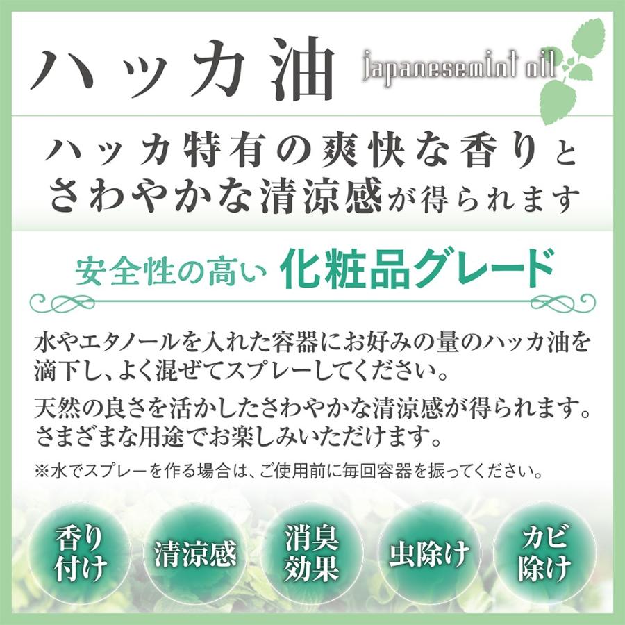 ガレージ ゼロ ハッカ油 20ml 50mlpeスプレーボトル 和種薄荷 ジャパニーズミント 郵送で送料無料 ヒロバ ゼロ Paypayモール店 通販 Paypayモール