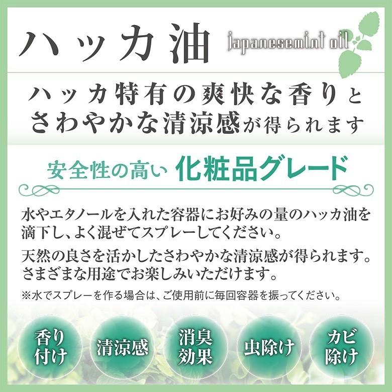 ヒロバ・ゼロ ハッカ油 50ml×5個セット 和種薄荷/ジャパニーズミント/メール便で送料無料 | HUNTER ZERO | 01
