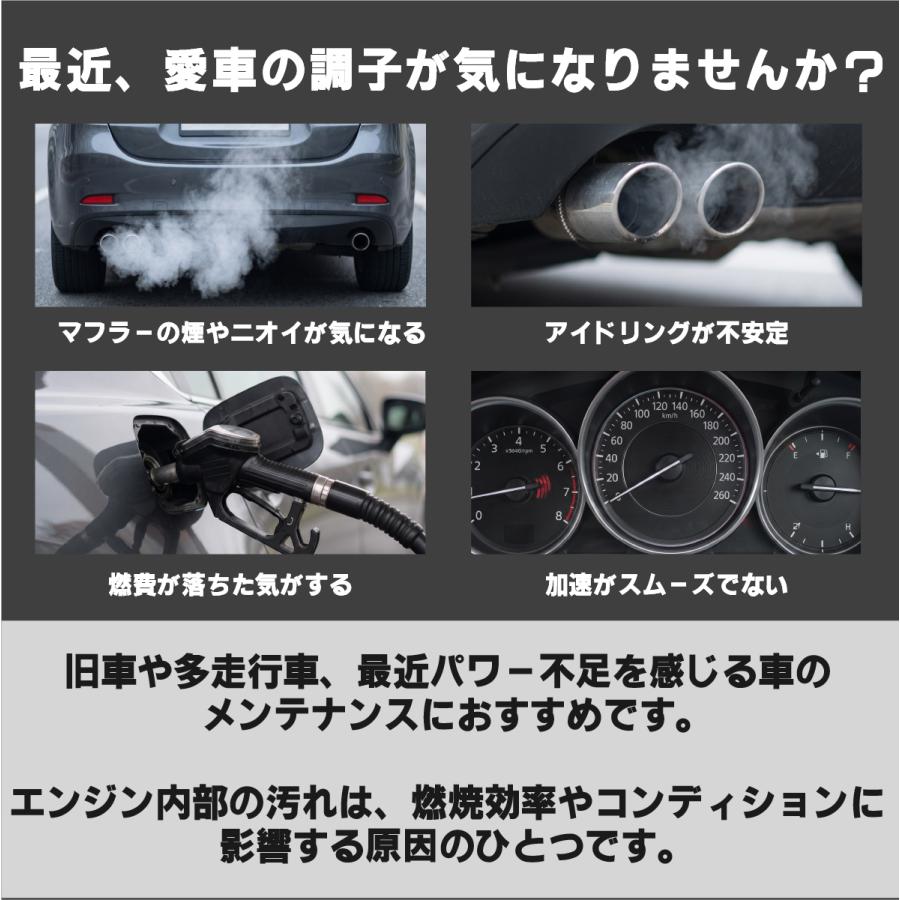 (置き配配送で送料無料)燃料添加剤 300ml ガソリン添加剤 ディーゼル添加剤 ヒロバ・ゼロ | HUNTER ZERO | 02