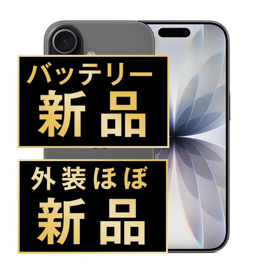 バッテリー新品交換済 iPhone17 256GB ブラック SIMフリー 中古 外装A+