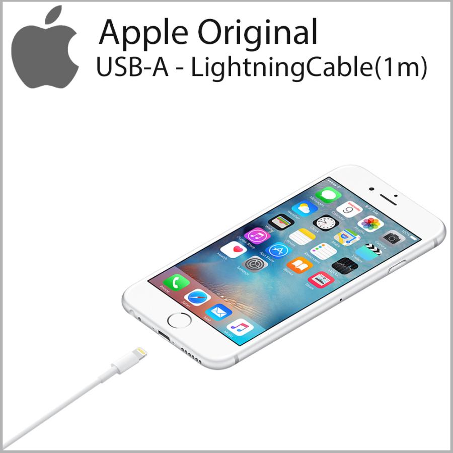 Apple iPhone 充電ケーブル 純正品 1m ライトニングケーブル iPad USB