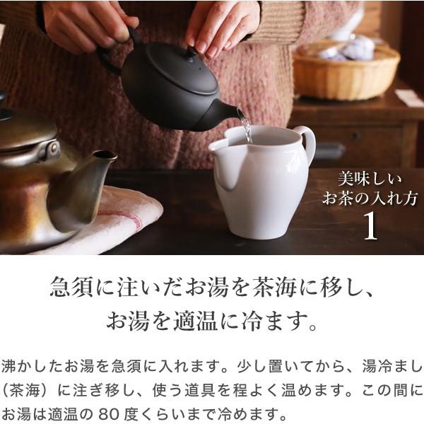東屋 急須 平急須 後手 烏泥 常滑焼 黒 ティーポット 茶器 陶器 日本製