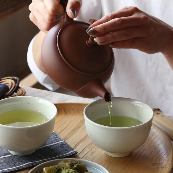 東屋 急須 平急須 後手 朱泥 常滑焼 茶 猿山修 ティーポット 茶器 陶器