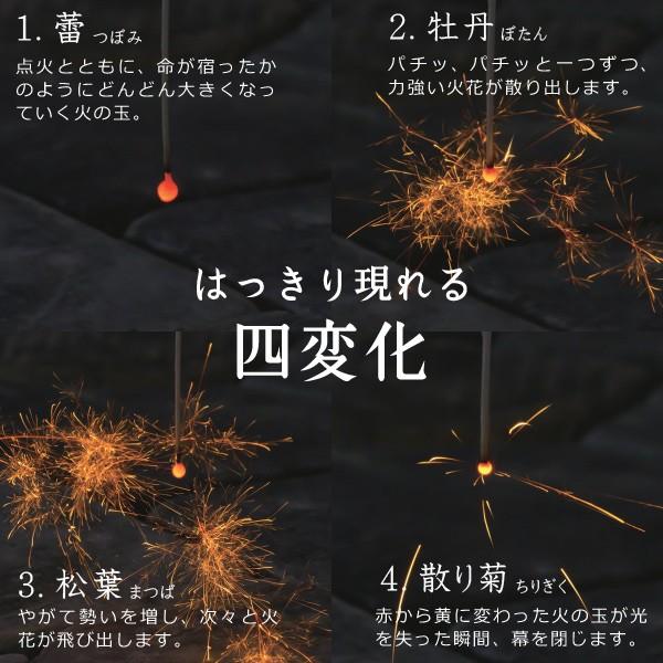 国産花火 線香国産花火筒井時正 蕾々 筒井時正玩具国産花火製造所 日本製｜garandou｜03