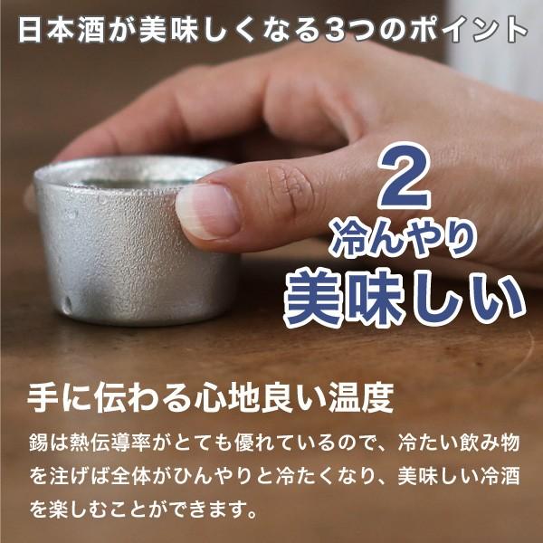名入れ 能作 錫製 ぐい呑み 月 酒器 猪口 盃 父の日 還暦祝い ギフト
