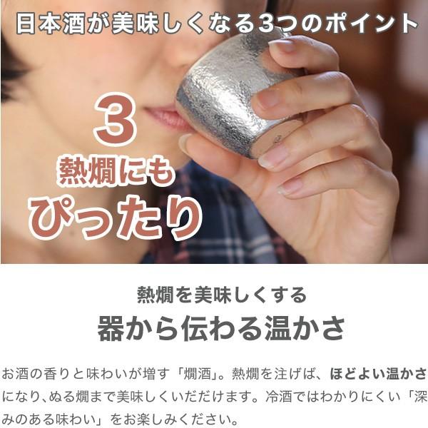 名入れ 能作 錫製 酒器セット （ぐい呑み 錫1個 片口小 錫） 猪口 酒器