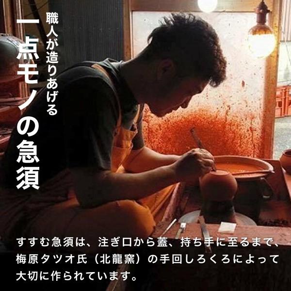 急須 すすむ急須 常滑焼 黒 すすむ屋茶店 ティーポット 茶器 陶器 父の日 母の日 |  | 06