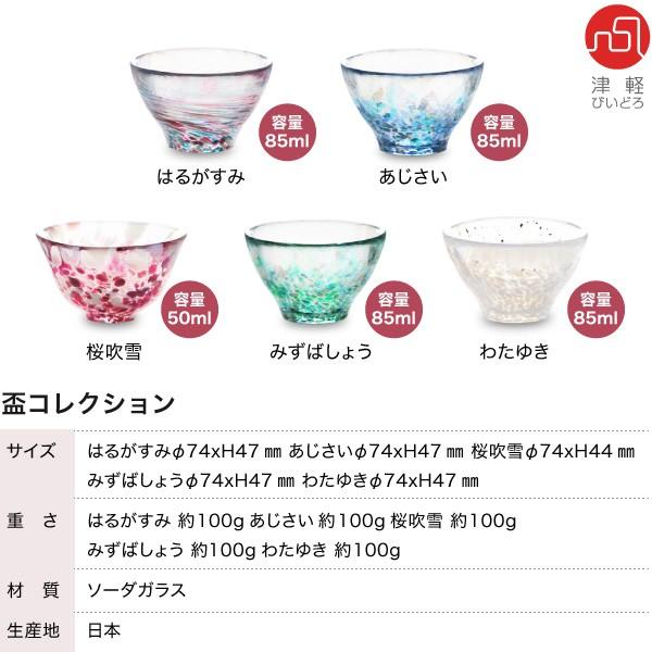 津軽びいどろ 石塚硝子 ぐい呑み 盃コレクション アデリア お猪口 冷酒