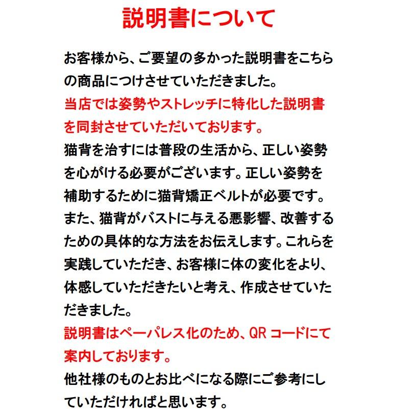 猫背矯正ベルト 姿勢矯正 背筋矯正ベルト 女性 巻き肩 背中矯正ベルト 背骨矯正ベルト ブラ サポーター 下着 医療用 子供｜garanndou｜03