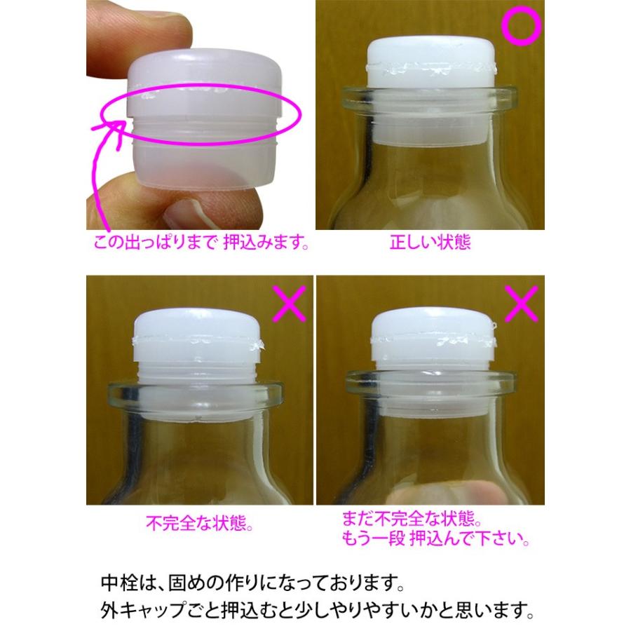 ガラス瓶 スパイスボトル ワグナー瓶 樹脂キャップ 中栓付-10本セット