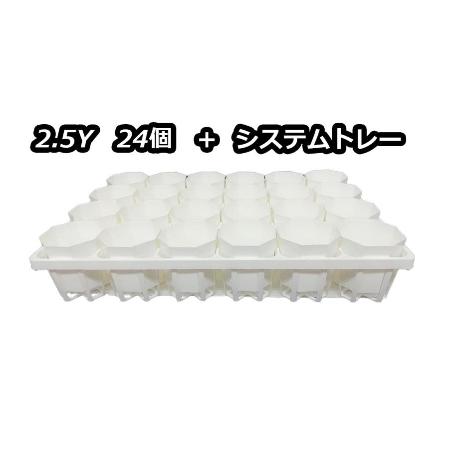 季節のおすすめ商品 2.5Y 白 24個セット 専用トレー システムトレー90CS セット トレーセット アルインコ 板材 建材用 アルミ複合板パンチング 910×1820×3.0mm ホワイト(両面塗装)1枚 品番:CG91PG02 アルミ型材,アルミ,ALINCO※合計9千円以上で送料無料