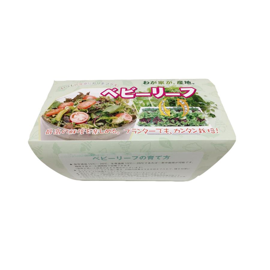 ベビーリーフ 栽培セット 鉢 培養土 種 Babyleaf 有 所沢植木鉢センター 通販 Yahoo ショッピング