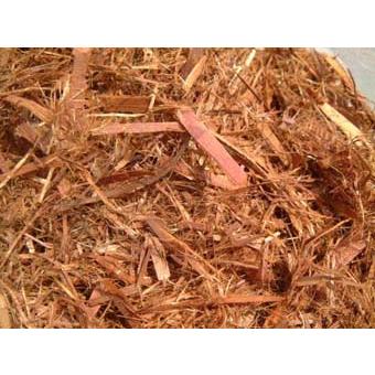 クリプトモス １００l Lサイズ 送料無料 Cp100l 有 所沢植木鉢センター 通販 Yahoo ショッピング