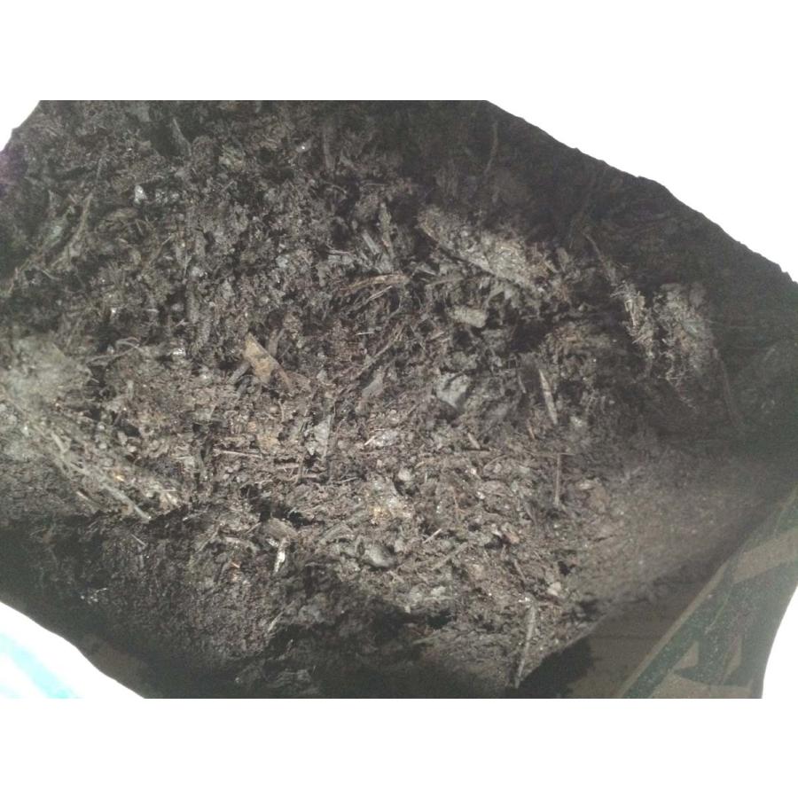 腐葉土 値引き 18l フヨード 菊 クリスマスローズ 草花 バラ薔薇