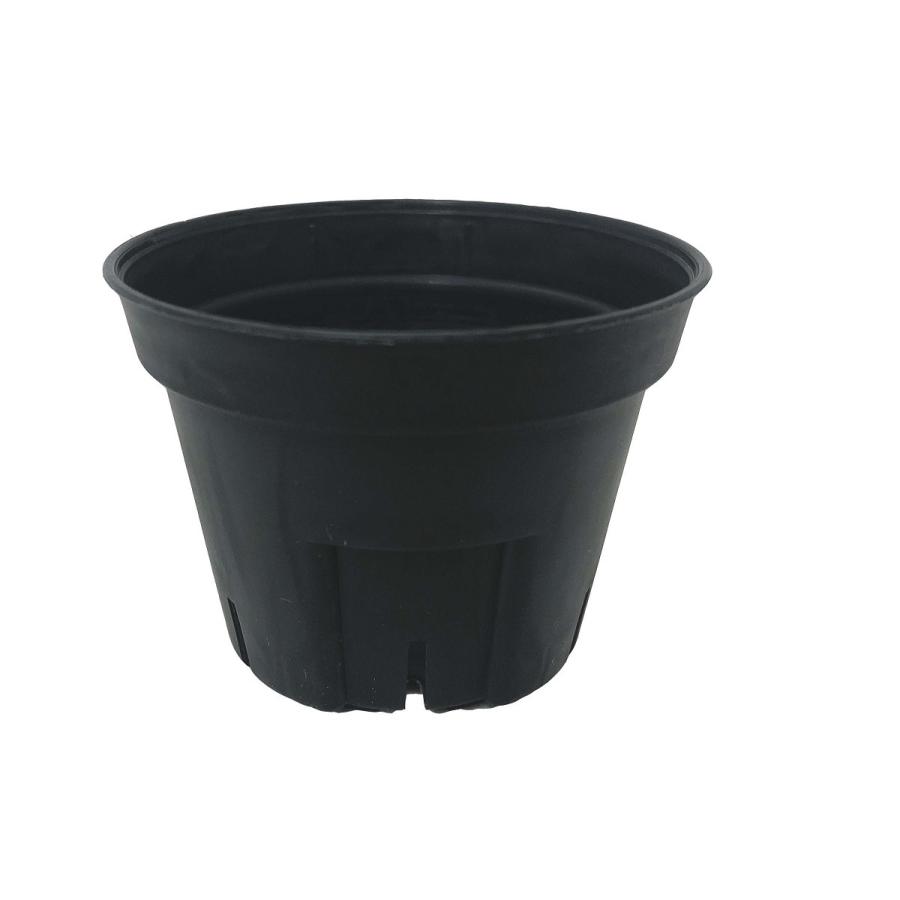 Sポット 黒 ブラック 90％以上節約 6cm スリット鉢 プラ鉢 プラスチック プランター 植木鉢 100個セット 多肉 96％以上節約