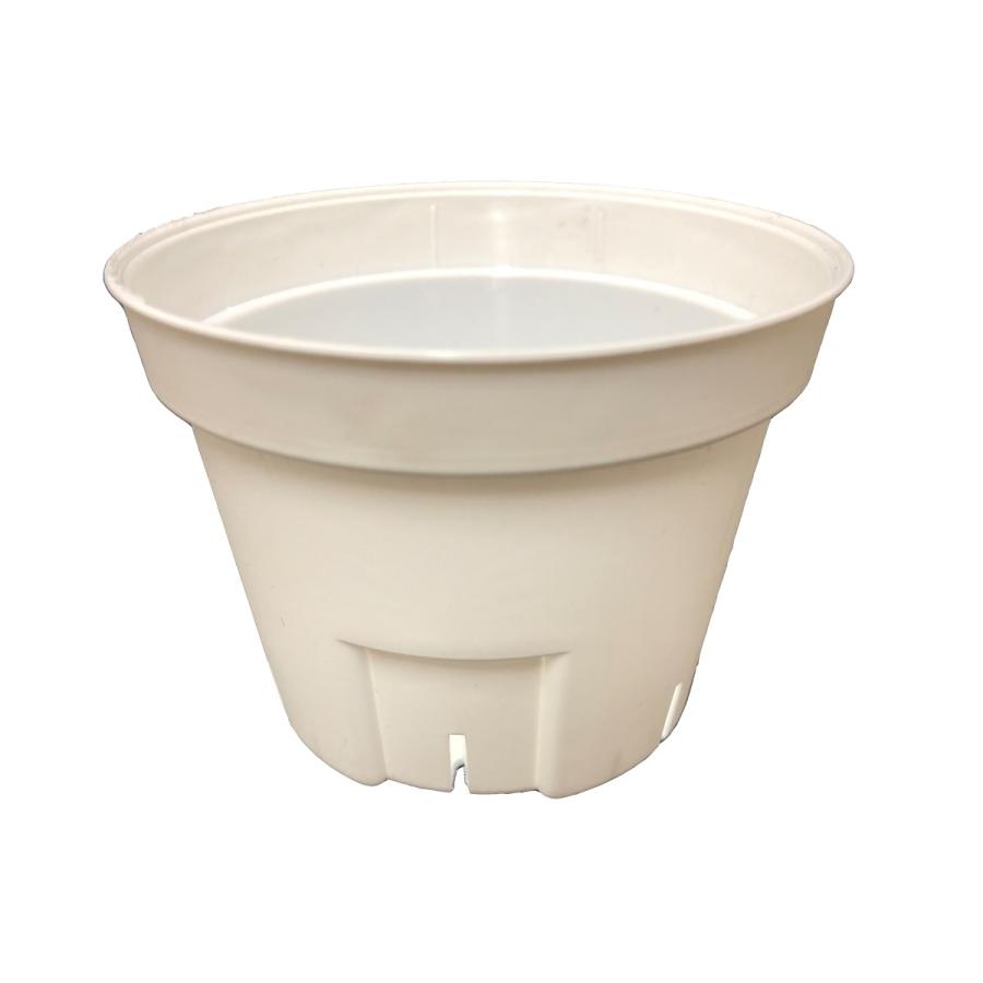 Sポット 白 7 5cm スリット鉢 プラ鉢 10個セット 多肉 Spot 75 10 有 所沢植木鉢センター 通販 Yahoo ショッピング