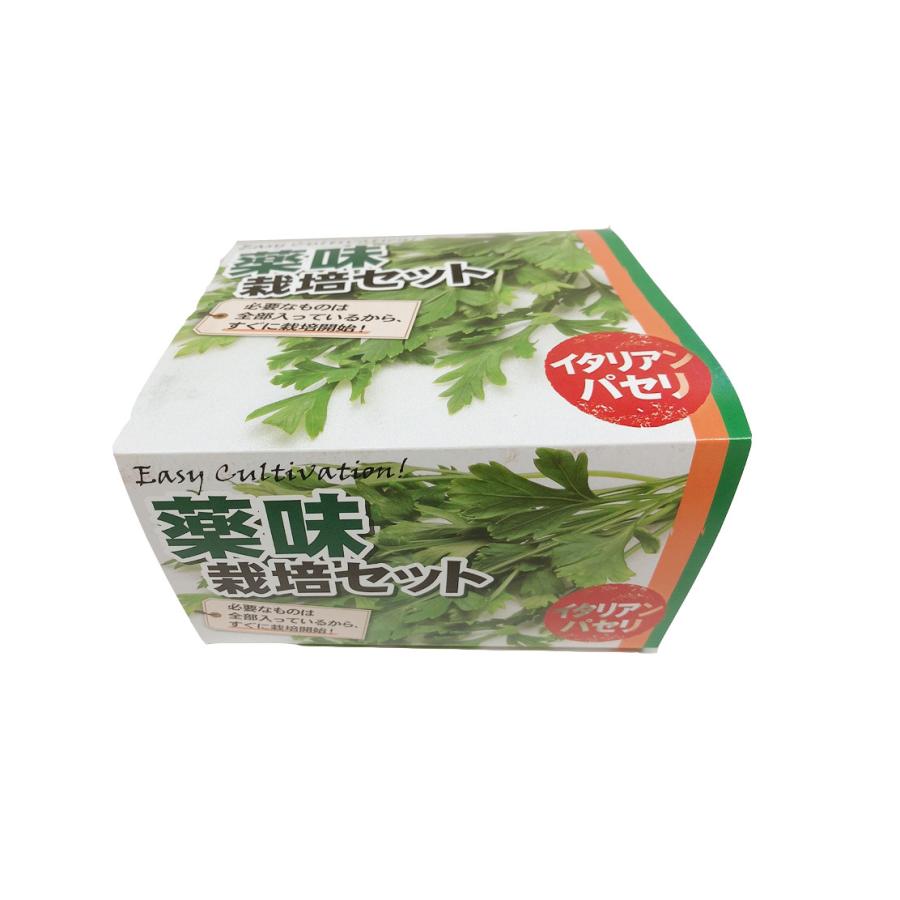 新素材新作 種子 ヨモギ 50g plantwee.nl 新素材新作 種子 ヨモギ 50g plantwee.nl