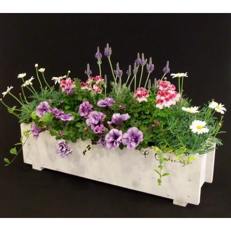 寄せ植え 秋の寄せ植え 秋の寄植え 秋の花 お誕生日プレゼント 花ギフト 開店祝い ゴージャスな寄せ植え スリム木製プランター 新築祝い に最適 Gwd 1 ガーデンエルフ Yahoo 店 通販 Yahoo ショッピング