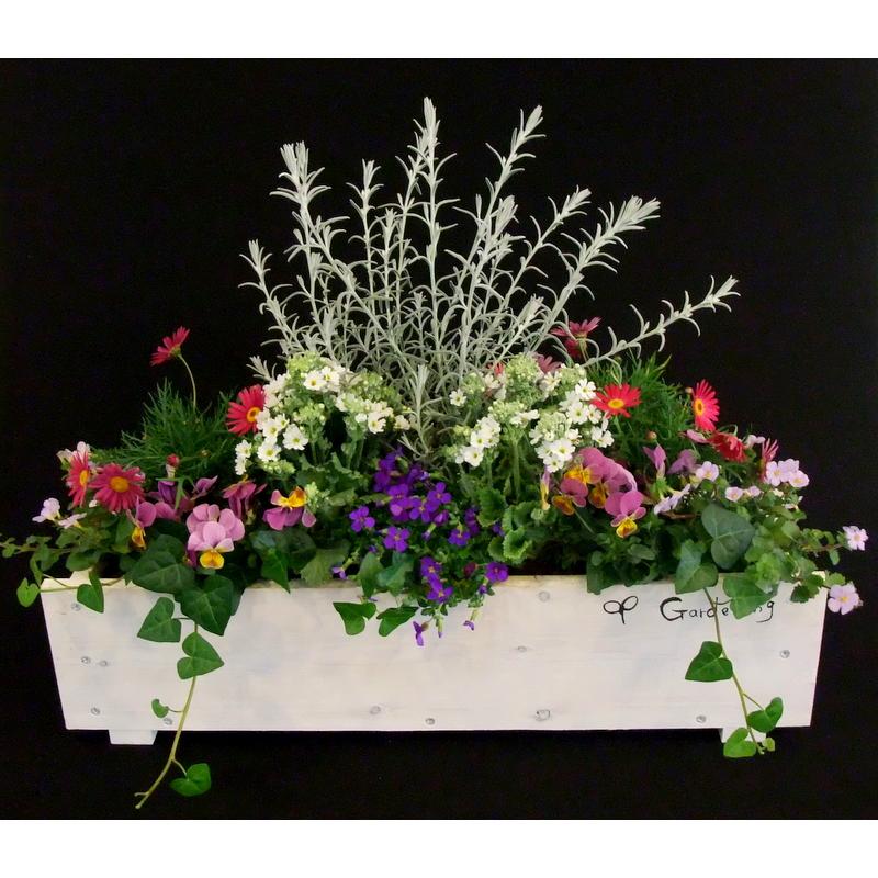 寄せ植え 春の寄せ植え 春の寄植え 春の花 プレゼント 花ギフト 開店