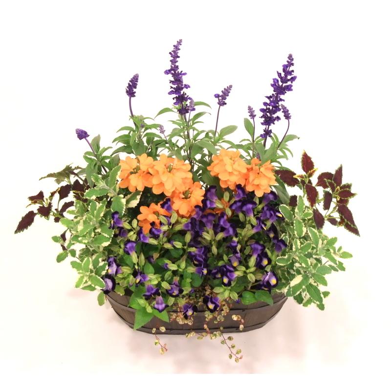 寄せ植え お誕生日プレゼント 夏の花 がいっぱい 木製コンテナ寄せ植え 手付き 木製プランター 夏の寄植え 夏の寄植え ギフト Gwd 3 ガーデンエルフ Yahoo 店 通販 Yahoo ショッピング