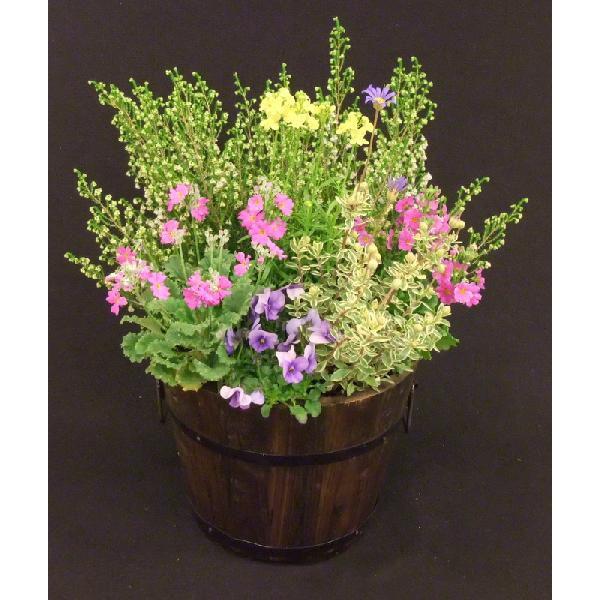 送料無料 寄せ植え 夏の寄せ植え 秋の寄植え 季節のおまかせ 寄せ植え フラワーコンテナ 焼杉樽コンテナ 木製コンテナ お誕生日 プレゼント 開店祝 ギフト にも Gwd 7 ガーデンエルフ Yahoo 店 通販 Yahoo ショッピング