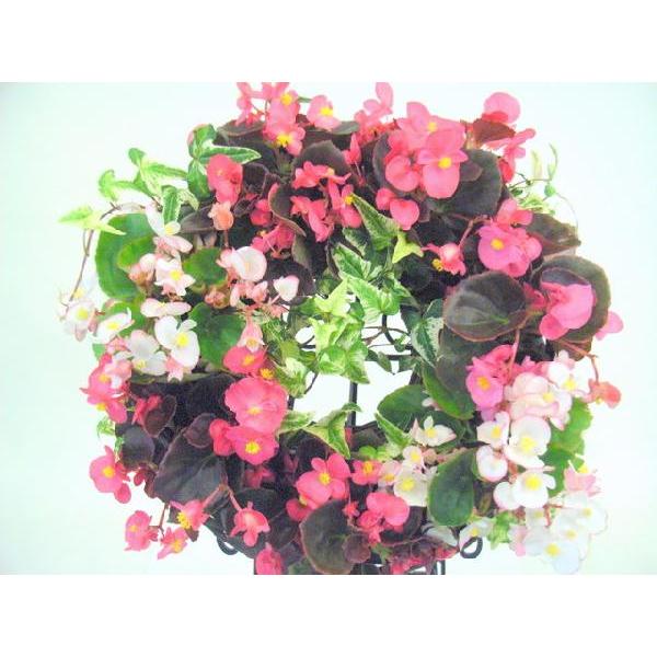 寄せ植え 秋の寄植え 夏の寄せ植え ベゴニアセンパフローレンス リース かごリース ドーナツ型 カゴのリース ベゴニア の寄せ植え ハンギングタイプ Lsr 001 ガーデンエルフ Yahoo 店 通販 Yahoo ショッピング