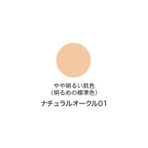 DHC 薬用 アクネケアコンシーラー10g ナチュラルオークル 01 送料無料｜garden-square｜02