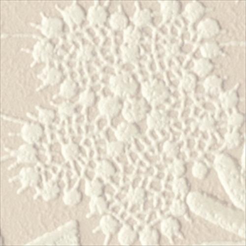 サンゲツ 生のりつき壁紙 クロス Fe6475 Fe6475 Gardenstyle 通販 Yahoo ショッピング