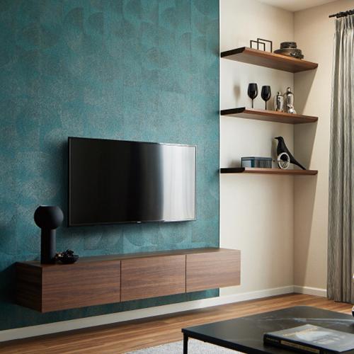 「レーヴェ」様 専用 Amazon | Wayocfei VAS-V MV シールド ラパイドネオ シールド