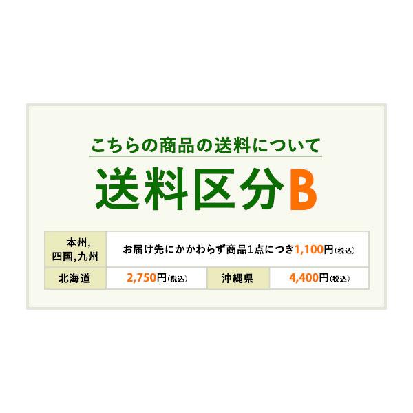 和風 仕切り 竹 枝折戸 竹垣 扉 開き戸 目隠し 目かくし タカショー / 白竹枝折戸60cm /B|青山ガーデン PayPayモール店|02