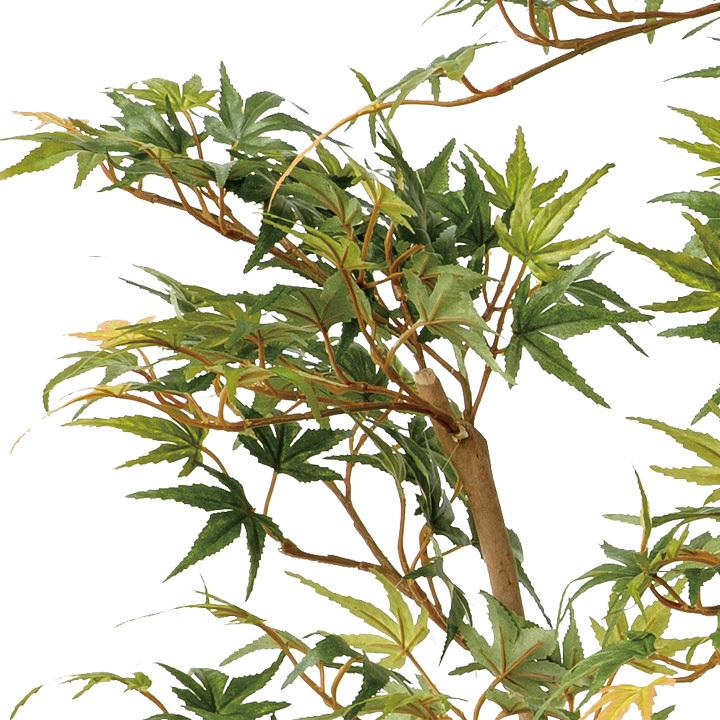 タカショー 人工観葉植物 造花 紅葉 業務用 施設 オフィス 店舗 装飾 フェイク グリーン リアル 坪庭 飾り / もみじ板付 青葉 1.3m /中型_1
