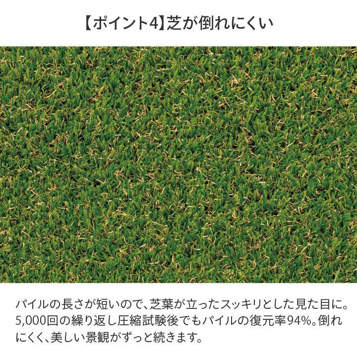 タカショー 人工芝 ロール 屋外 マット 施設 オフィス 店舗 リアル / 透水性人工芝 ショートパイル 1.82×5m /大型の画像