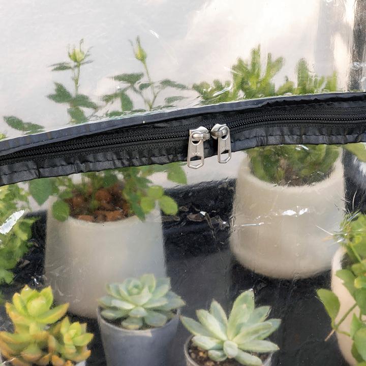 ビニール温室 簡易温室 ビニールハウス 育苗 寒冷 霜 菜園 タカショー